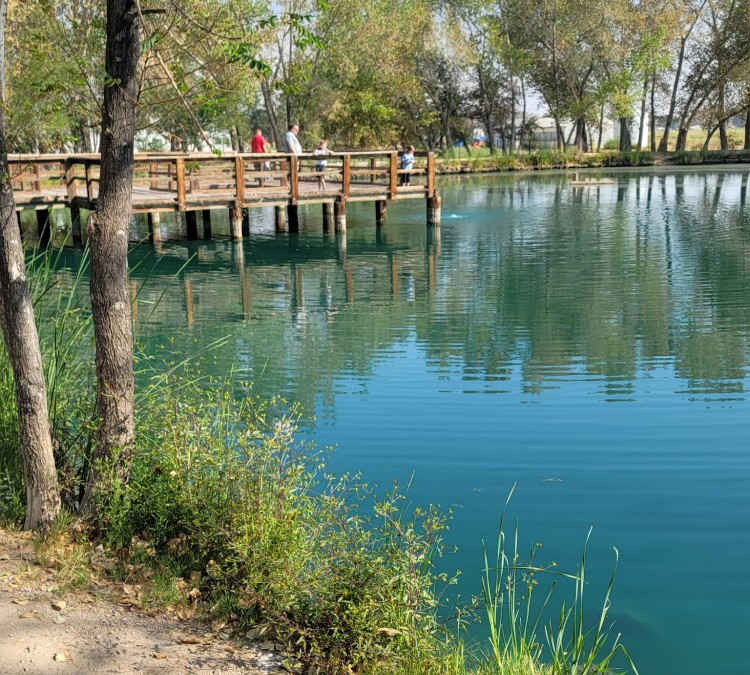 Liberty Pond And Dog Park (Fallon,&nbspNV)